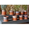 A la recherche d'un pot pour votre plante d'intérieur? découvrez la gamme terracotta violine