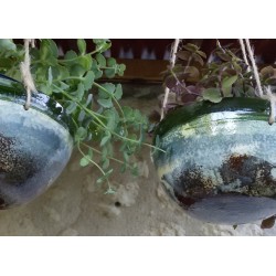 cache-pots à suspendre original qui mettront en valeur vos fleurs et plantes préférées.