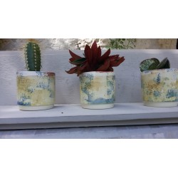 tendance cactus:petits pots en céramique originaux