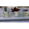 tendance cactus:petits pots en céramique originaux